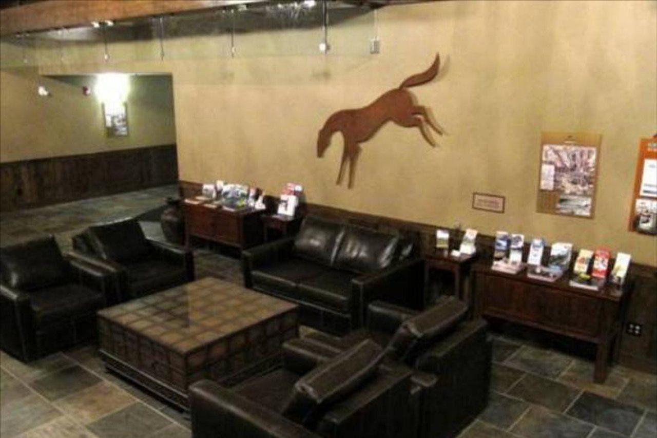 Glacier Mountaineer Lodge Голден Экстерьер фото